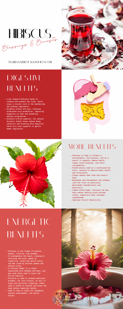 Hibiscus Lemonade 🌺🍋 (LOCAL PICKUP ONLY)